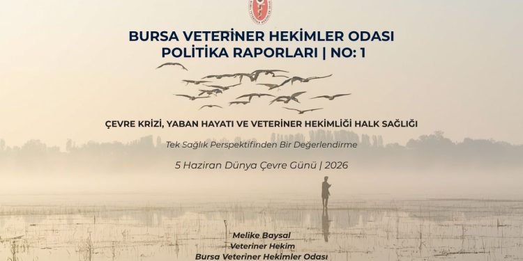 Bursa Veteriner Hekimler Odası Politika Raporları | No: 1