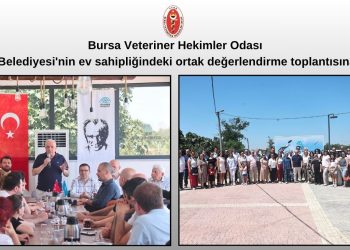 Bursa Veteriner Hekimler Odası                                                   Nilüfer Belediyesi’nin ev sahipliğindeki ortak değerlendirme toplantısına katıldı