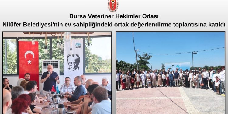 Bursa Veteriner Hekimler Odası                                                   Nilüfer Belediyesi’nin ev sahipliğindeki ortak değerlendirme toplantısına katıldı