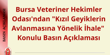 Bursa Veteriner Hekimler Odası’ndan “Kızıl Geyiklerin Avlanmasına Yönelik İhale” Konulu Basın Açıklaması