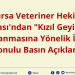 Bursa Veteriner Hekimler Odası’ndan “Kızıl Geyiklerin Avlanmasına Yönelik İhale” Konulu Basın Açıklaması