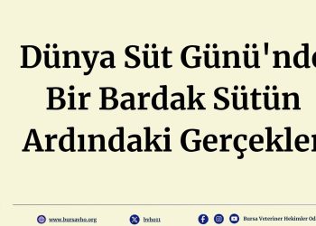 Dünya Süt Günü’nde Bir Bardak Sütün Ardındaki Gerçekler