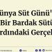 Dünya Süt Günü’nde Bir Bardak Sütün Ardındaki Gerçekler