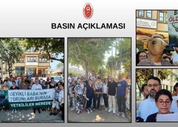 Sadece Kızıl Geyiği Değil, Bursa’nın Yaşam Hakkını Savunuyoruz