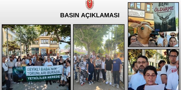 Sadece Kızıl Geyiği Değil, Bursa’nın Yaşam Hakkını Savunuyoruz