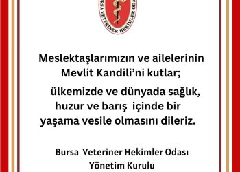 Mevlit Kandili