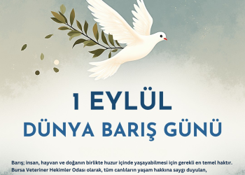 1 Eylül Dünya Barış Günü