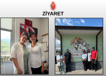 BVHO’dan , Kestel Belediyesi Veteriner İşleri Müdürlüğü’ne Ziyaret