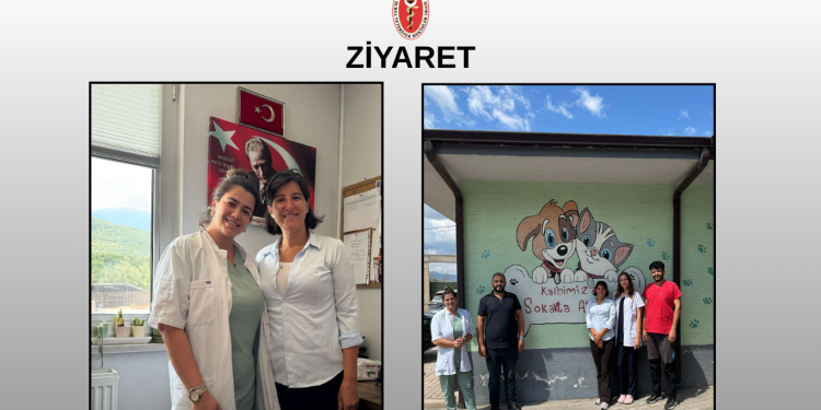 BVHO’dan , Kestel Belediyesi Veteriner İşleri Müdürlüğü’ne Ziyaret