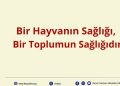 Bir Hayvanın Sağlığı, Bir Toplumun Sağlığıdır