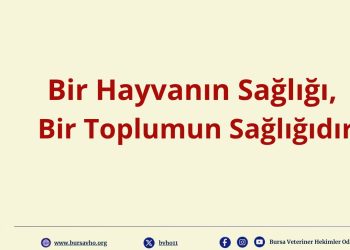 Bir Hayvanın Sağlığı, Bir Toplumun Sağlığıdır