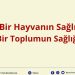 Bir Hayvanın Sağlığı, Bir Toplumun Sağlığıdır