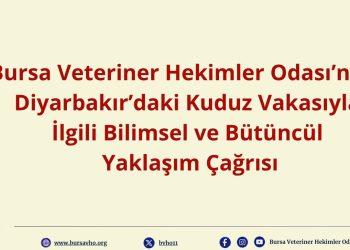 Bursa Veteriner Hekimler Odası’ndan Kuduzla Mücadelede Bilimsel ve Bütüncül Yaklaşım Çağrısı