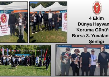 4 Ekim Dünya Hayvanları Koruma Günü’nde Bursa 3. Yuvalandırma Şenliği