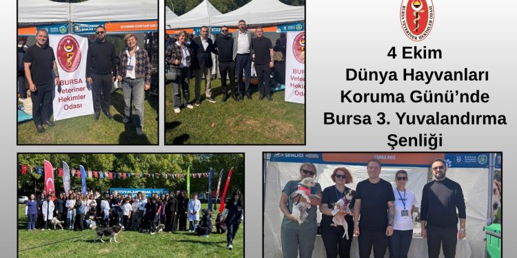 4 Ekim Dünya Hayvanları Koruma Günü’nde Bursa 3. Yuvalandırma Şenliği