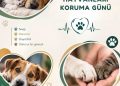4 Ekim Dünya Hayvanları Koruma Günü