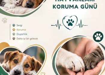 4 Ekim Dünya Hayvanları Koruma Günü