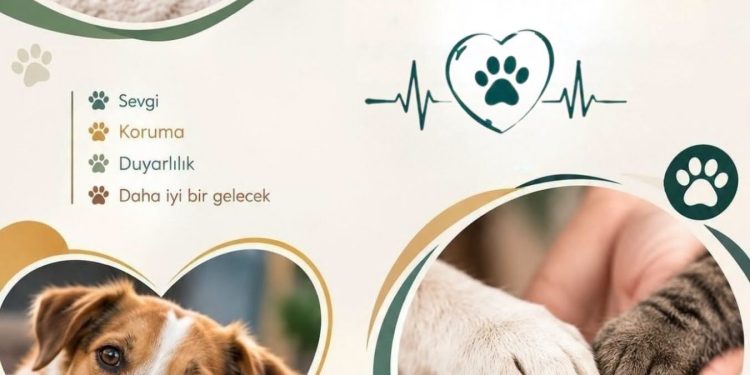 4 Ekim Dünya Hayvanları Koruma Günü