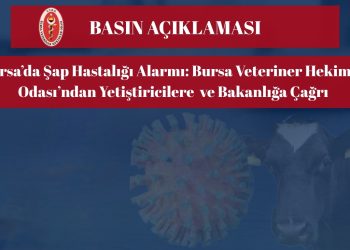Bursa’da şap hastalığı alarmı: Bursa Veteriner Hekimler Odası’ndan Yetiştiricilere ve Bakanlığa Çağrı , Konulu Basın Açıklaması