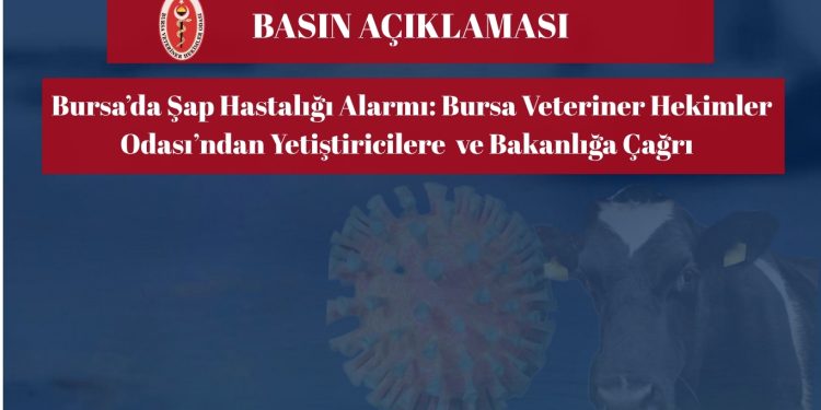 Bursa’da şap hastalığı alarmı: Bursa Veteriner Hekimler Odası’ndan Yetiştiricilere ve Bakanlığa Çağrı , Konulu Basın Açıklaması