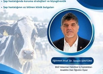 BVHO’dan “Şap Hastalığına Güncel Yaklaşımlar” Eğitimi