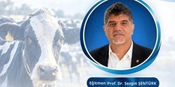 BVHO’dan “Şap Hastalığına Güncel Yaklaşımlar” Eğitimi